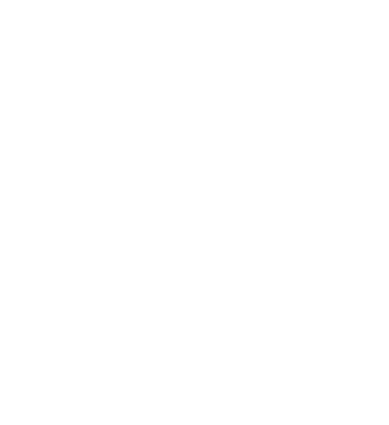 Toitu Logo