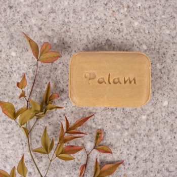 Neem soap